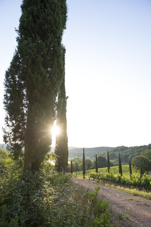 Tenuta La Tabaccaia * La Pesta