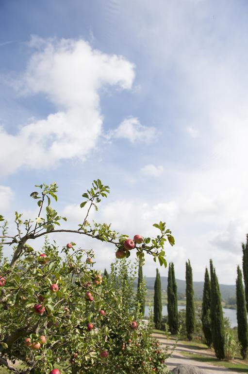 Tenuta La Tabaccaia *