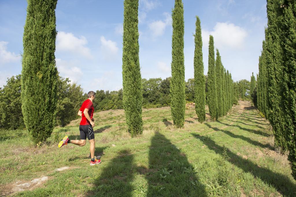 Farm stay Tenuta La Tabaccaia